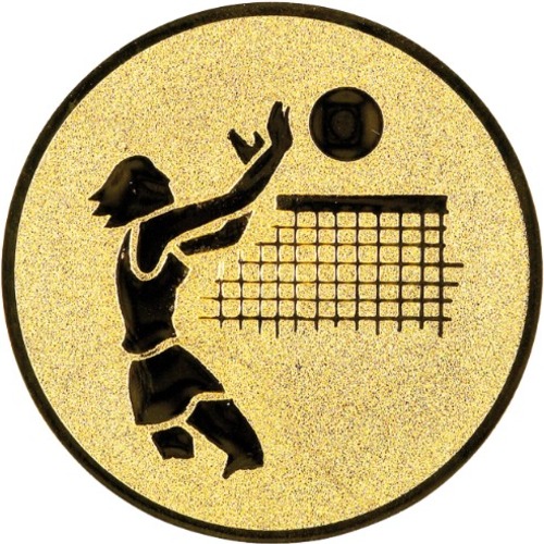 Volleyball 20