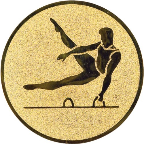 Turnen 43