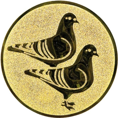 Tauben 174