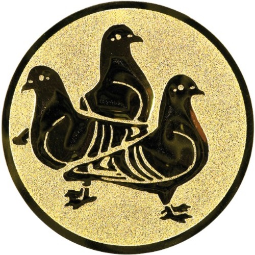 Taube 175