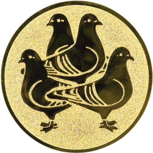Taube 176