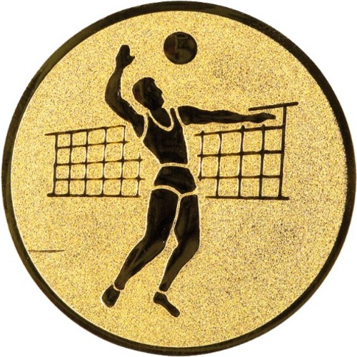 Volleyball 19