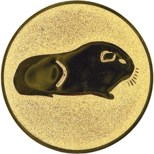Murmeltier 49