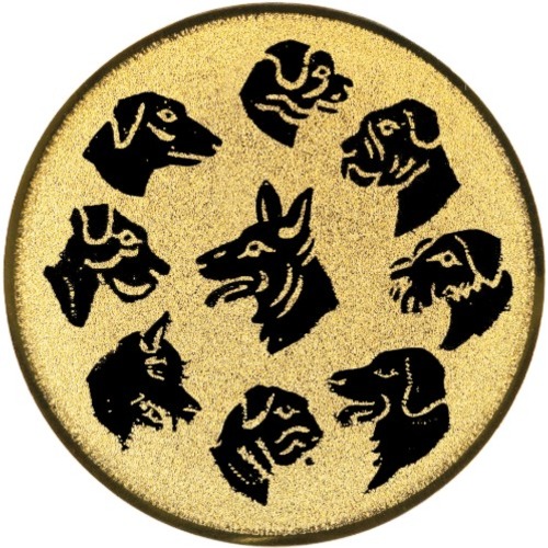 Hundesport 68