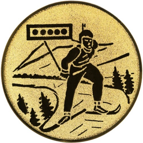 Biathlon 94