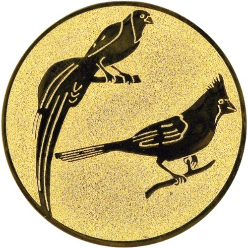 Vögel 104