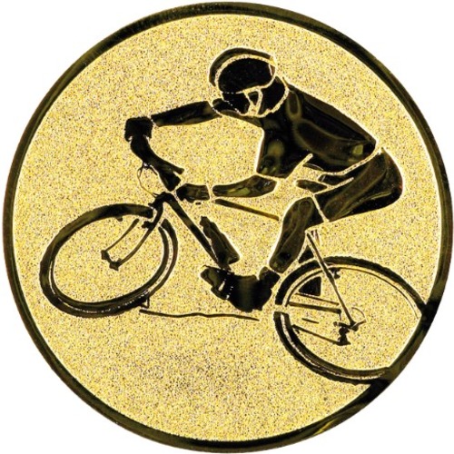 Mountainbike 137