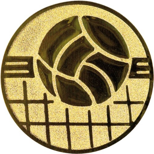 Volleyball 139