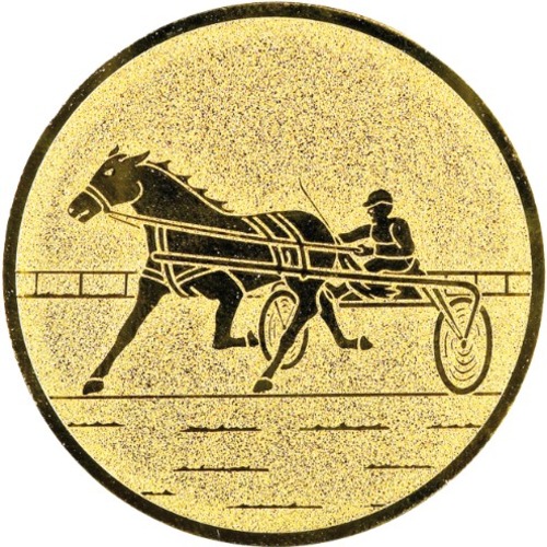 Pferdesport 157