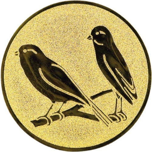 Vögel 102