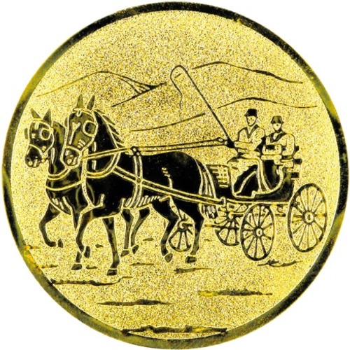 Pferdesport 152